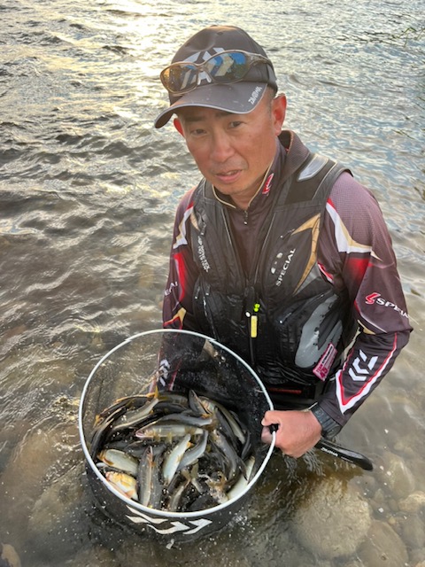 炎天下の九頭竜川釣行
