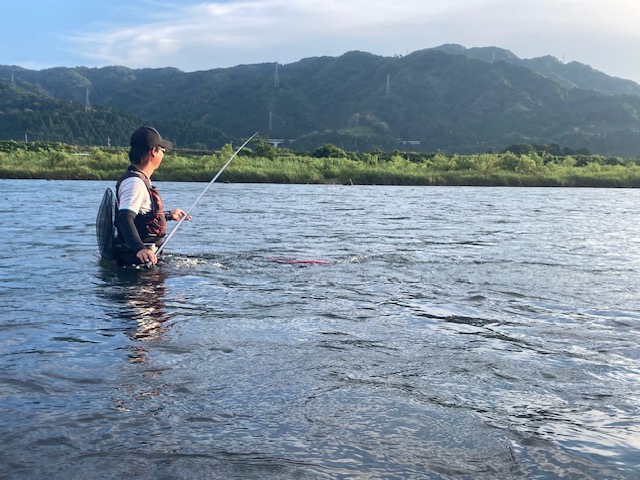 炎天下の九頭竜川釣行