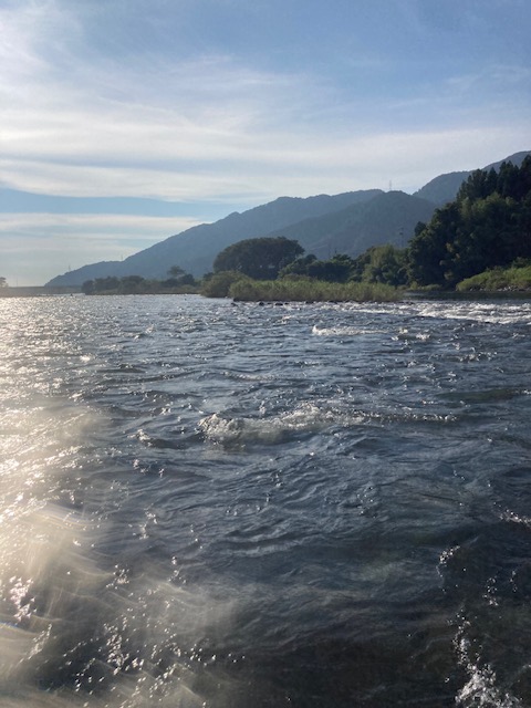 炎天下の九頭竜川釣行