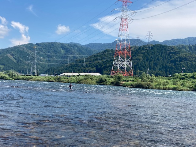 炎天下の九頭竜川釣行