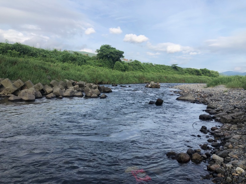 安曇川廣瀬 友釣り釣行