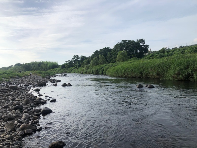 安曇川廣瀬 友釣り釣行