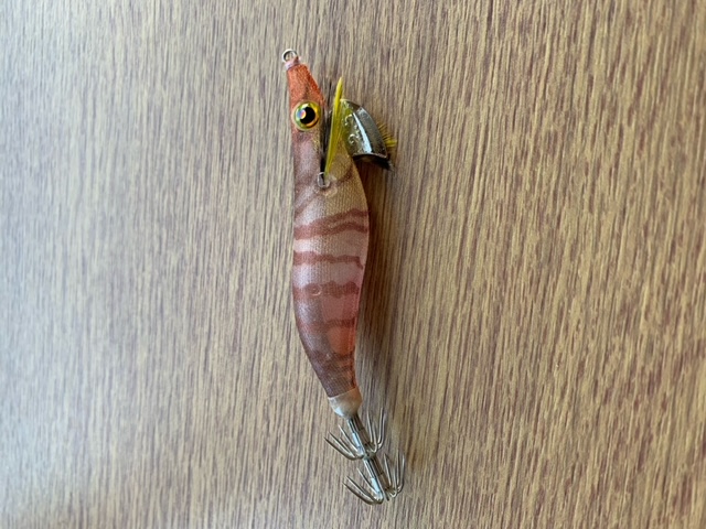 鳥取でイカメタル