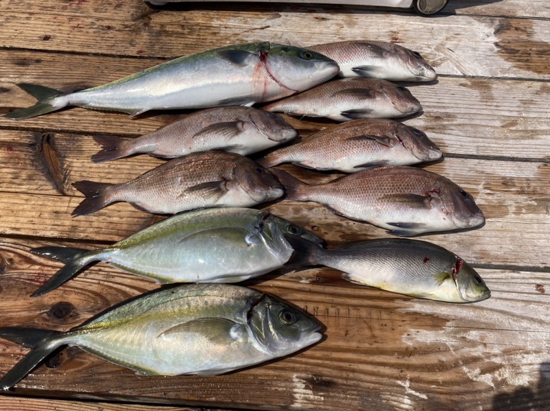 初めての海上釣り堀
