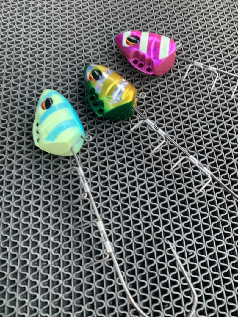 タチウオテンヤ釣行