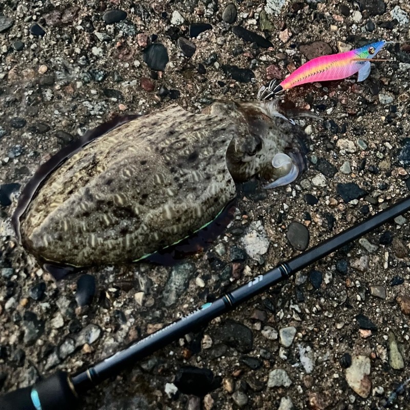 EGING DE NIGHT 2023 in富山!!