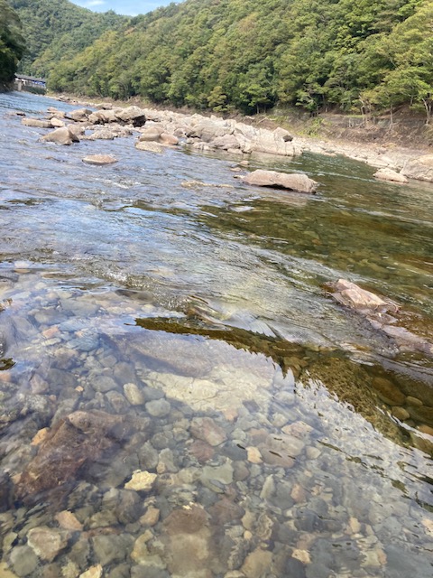 日高川へサイズ狙い釣行!