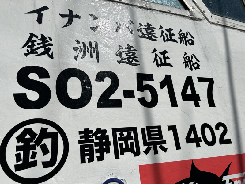 新島キンメジギング