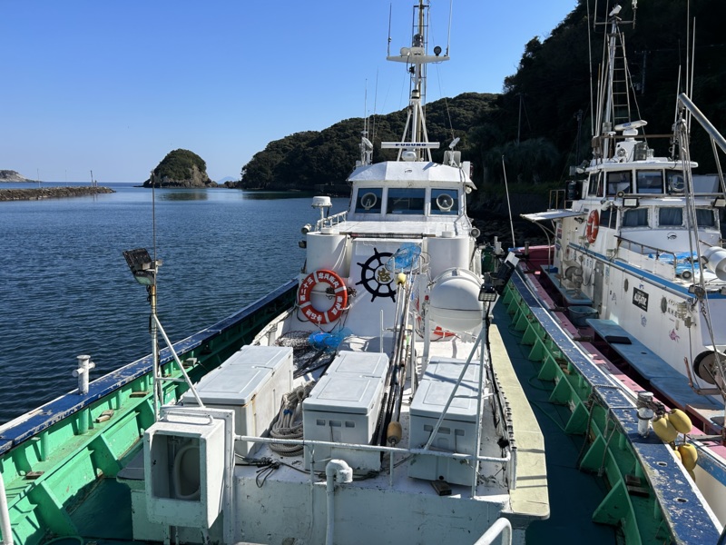 新島キンメジギング