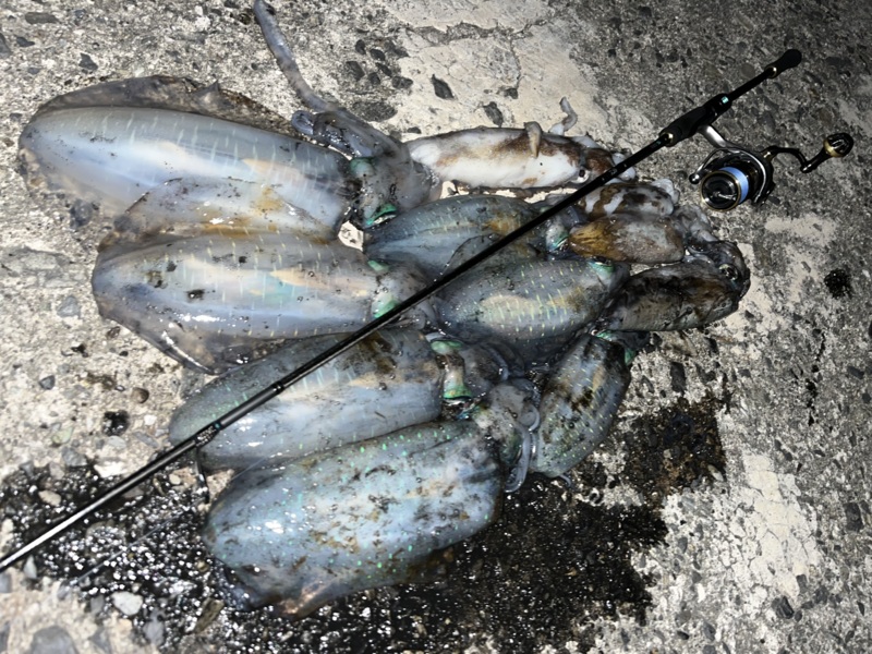 10月満月大潮エギング日和②〜確変起きたぞナイト編〜