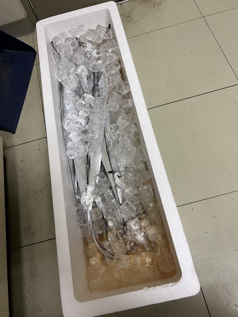 ドラゴンを求めて