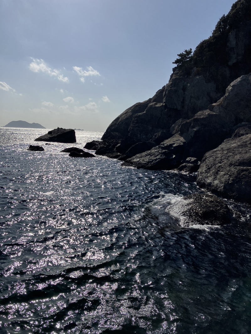 鵜来島 磯釣り