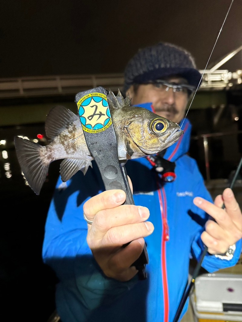 大阪湾インショアゲーム (冬)