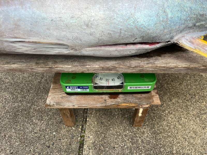 トンジギでキハダキャッチ!