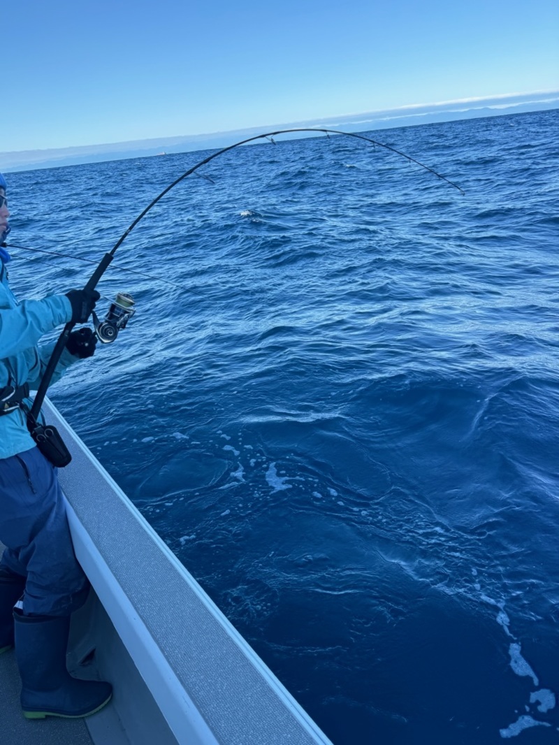 トンジギでキハダキャッチ!