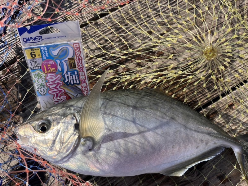 釣り堀紀州釣行