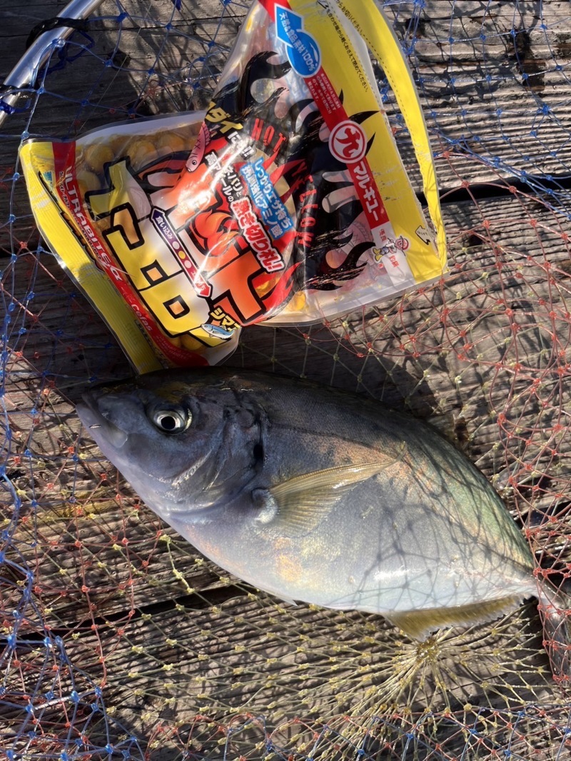 釣り堀紀州釣行