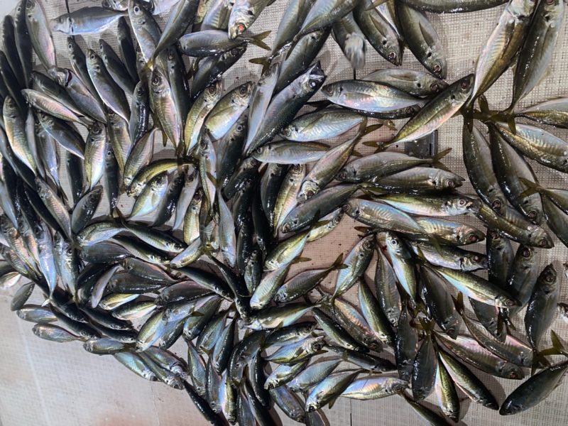 ボートアジング