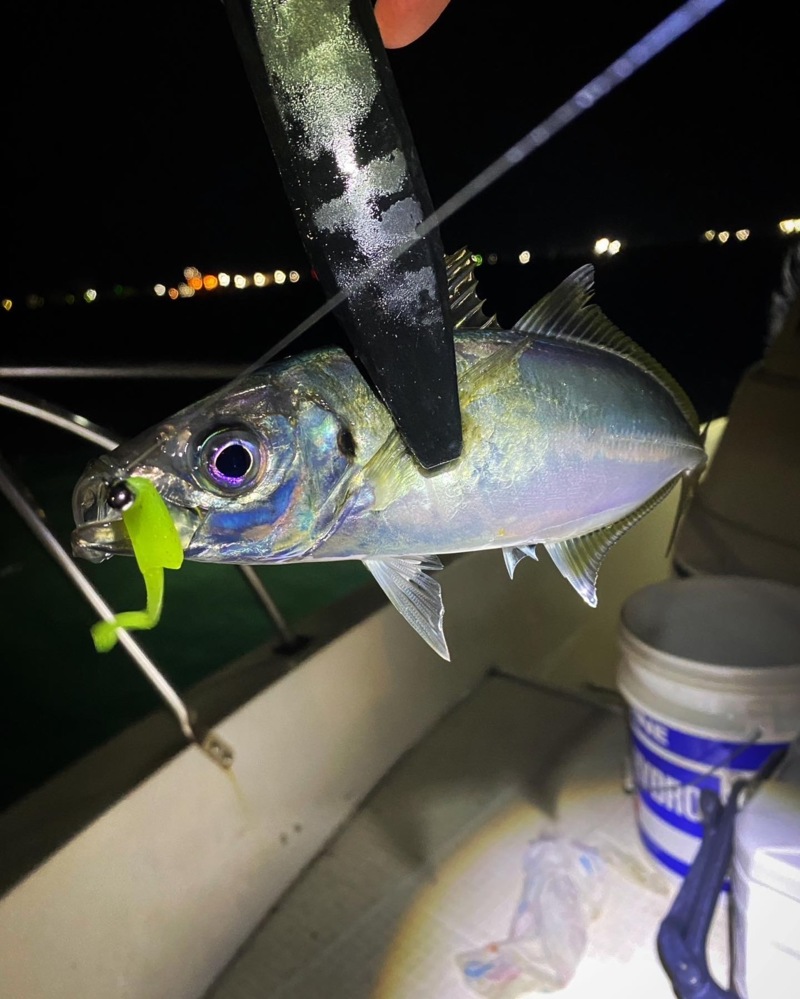 ボートアジング