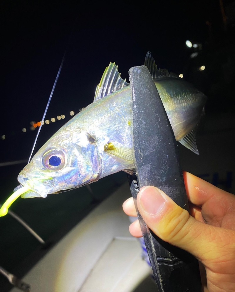 ボートアジング