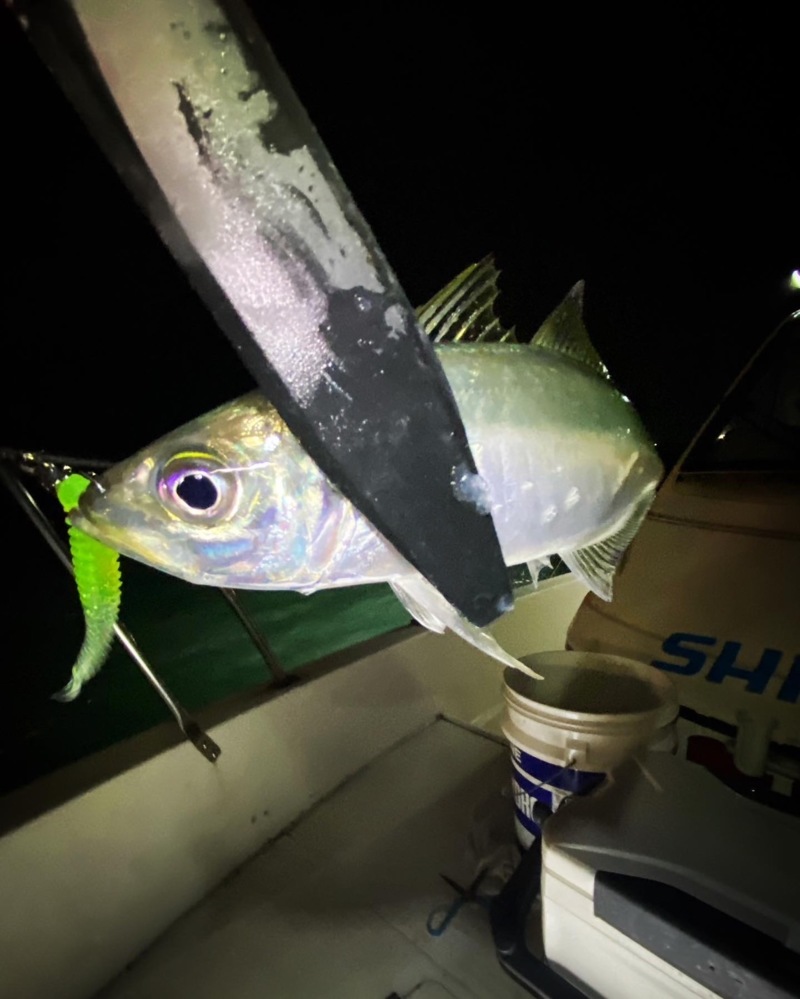 ボートアジング