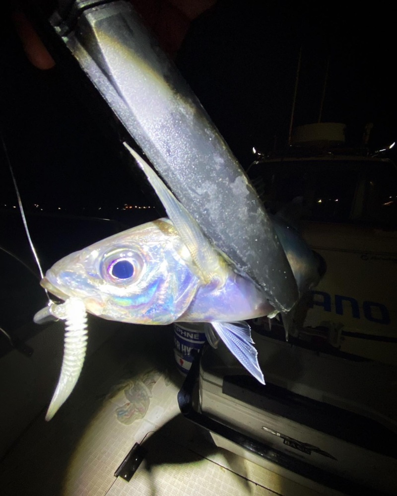 ボートアジング