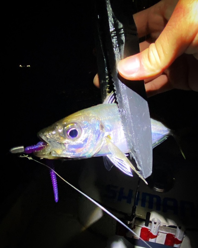 ボートアジング