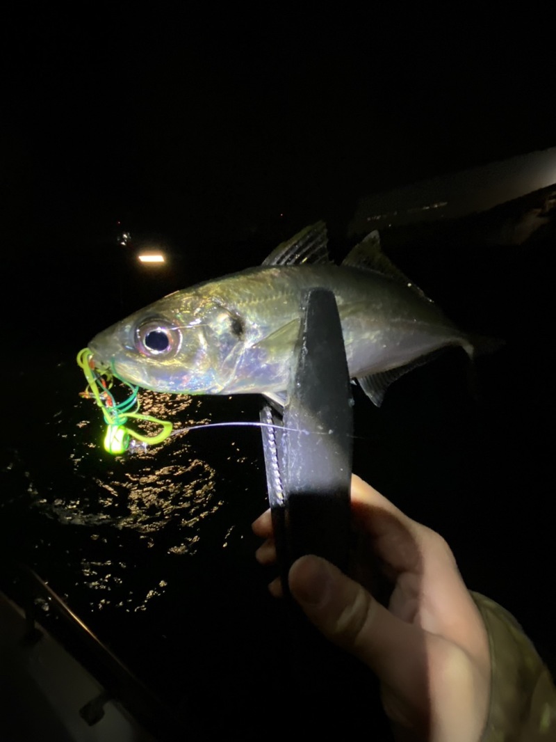 ボートアジング