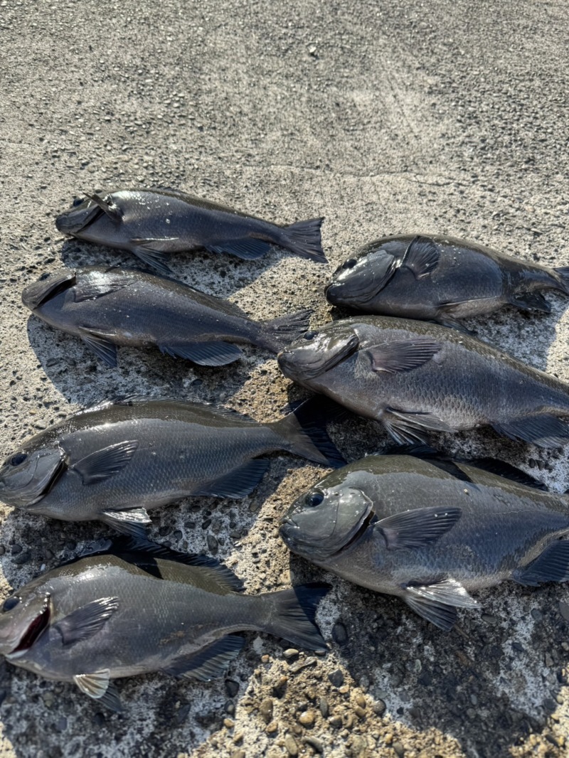 人生初磯釣りに!!