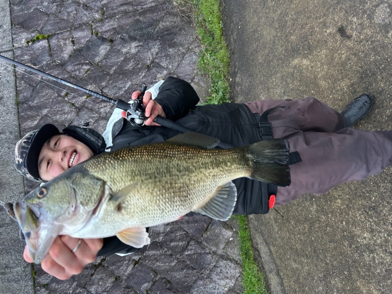 琵琶湖は春始まってますよ‼️