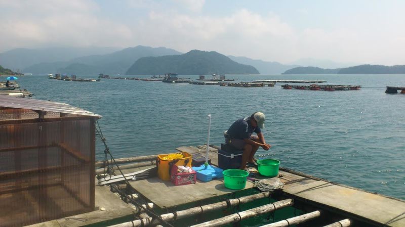 【京都府】舞鶴湾でチヌ釣り|灼熱!!筏の戦い!!