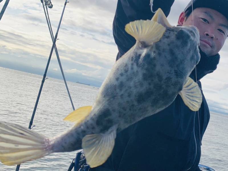 明石 アカメフグ釣り