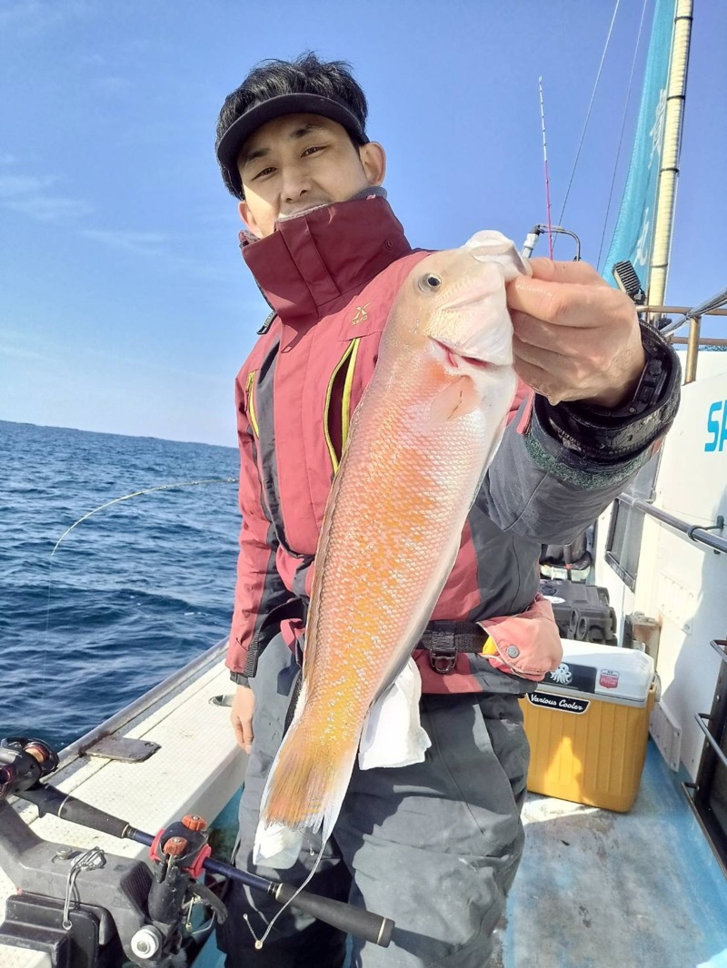 和歌山白アマダイ