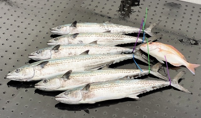 日本海ブレードジギング