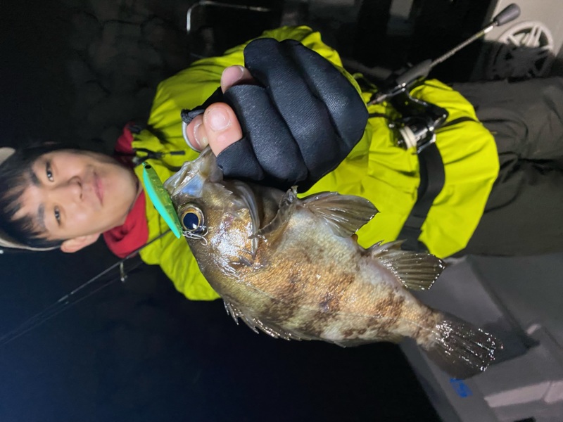 春到来!大阪湾ボートメバル!