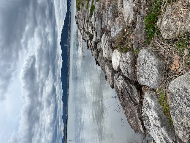 琵琶湖ホンモロコNO5