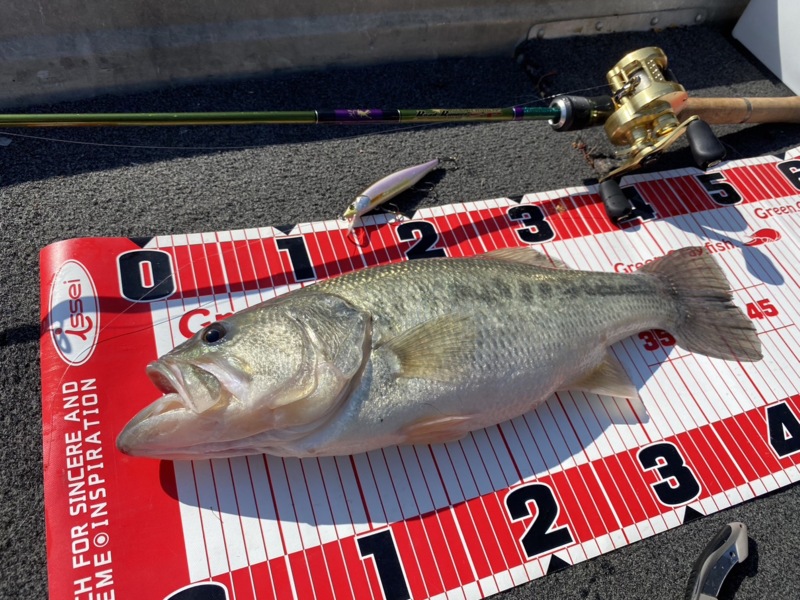 春のバス釣り~ゴンザレスを求めて~