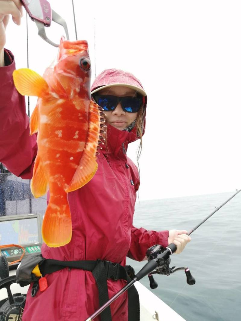 インショアゲーム!