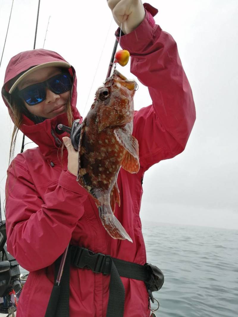 インショアゲーム!