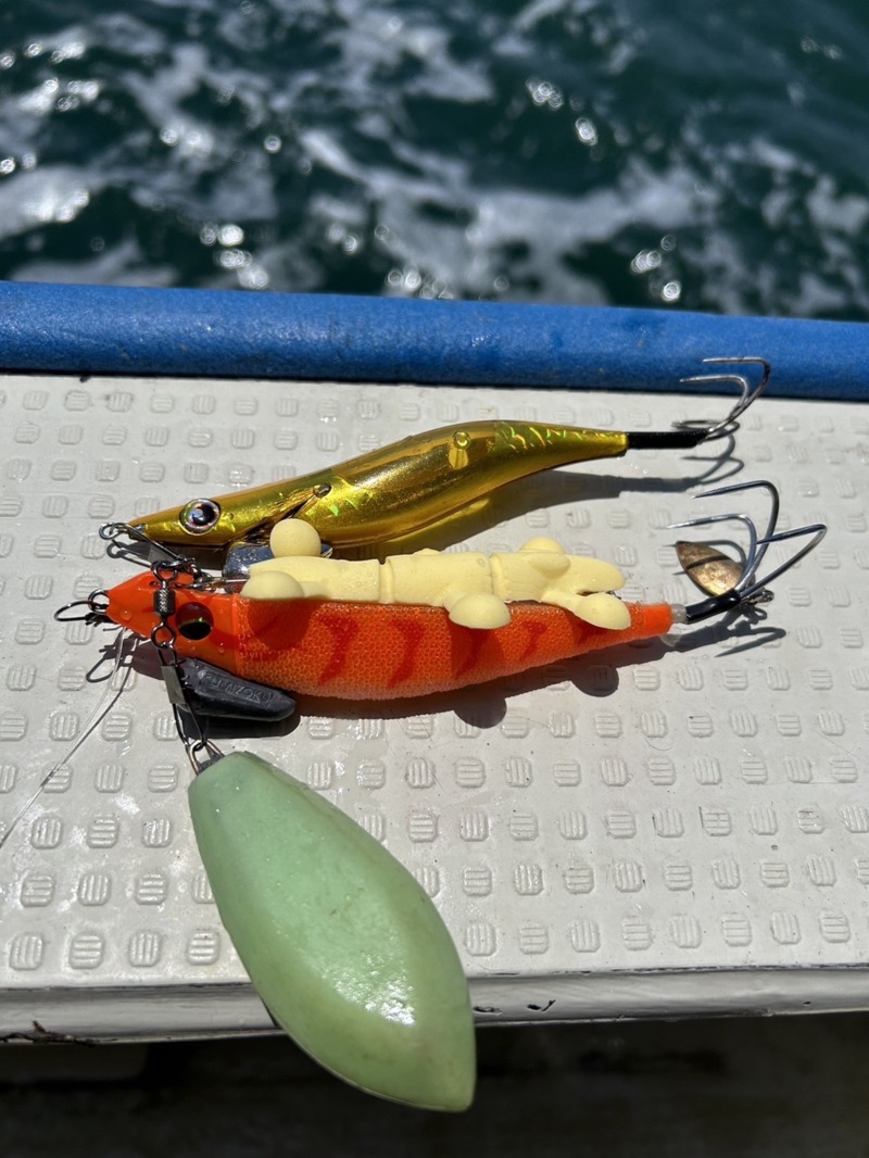 大タコを求めて