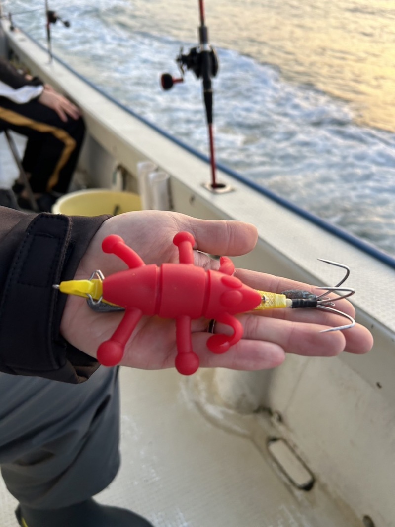 大タコを求めて