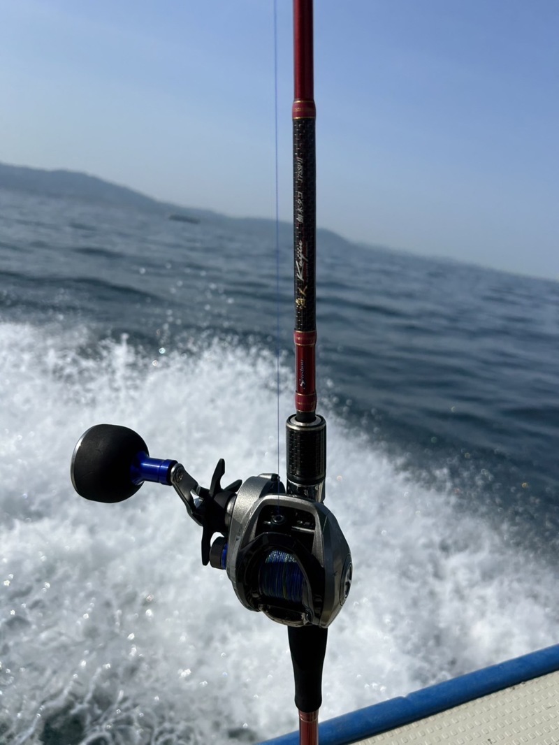 大タコを求めて