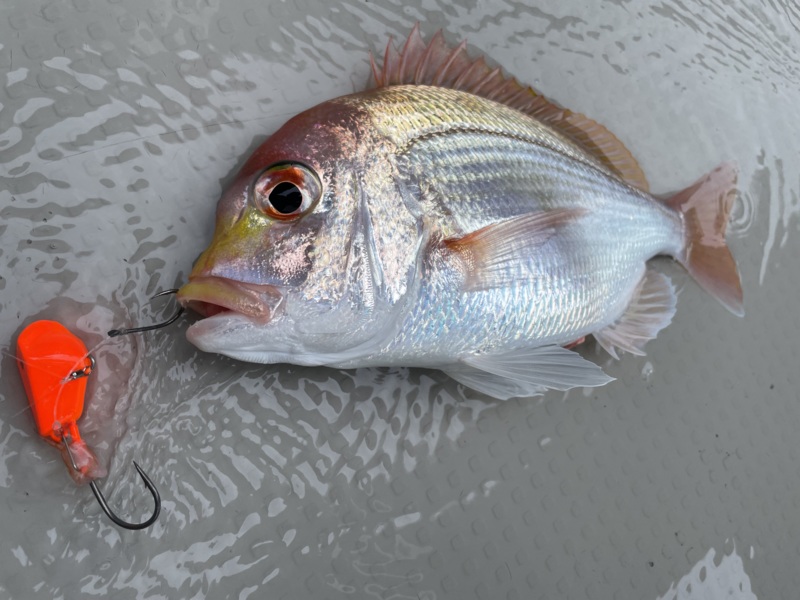 一つテンヤ釣行