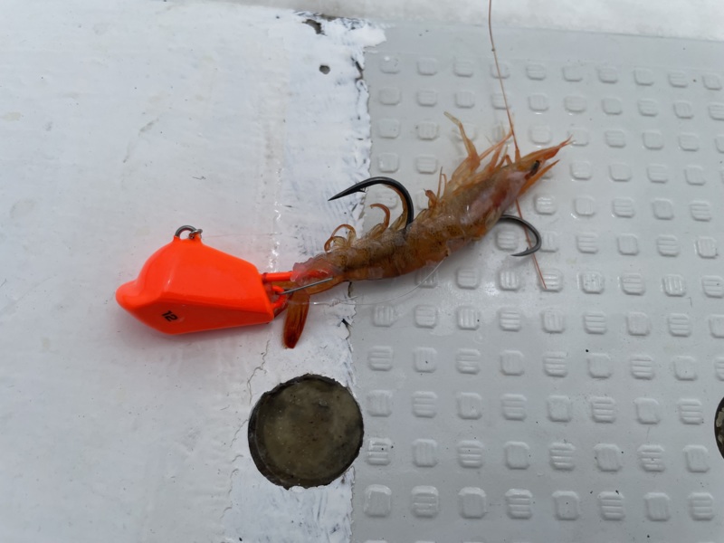 一つテンヤ釣行