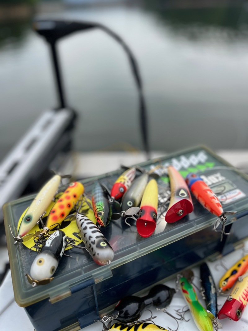 一庫ダム トップウォーター一本勝負!