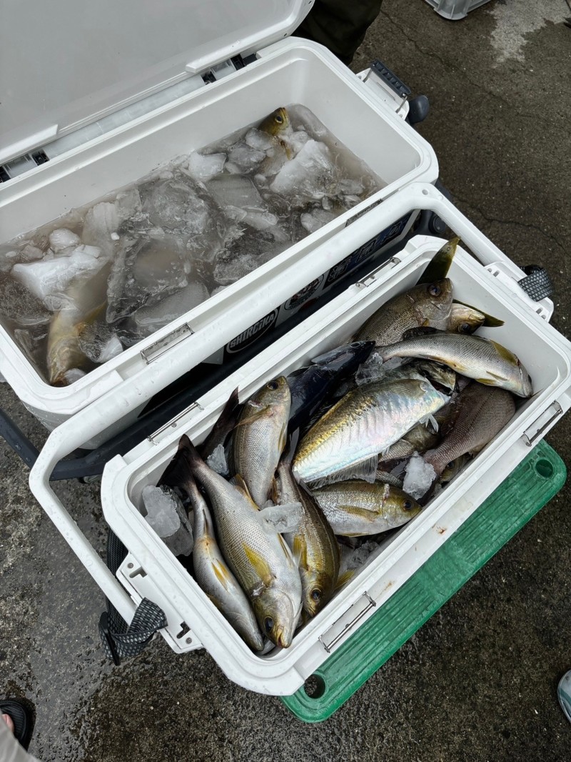 和歌山トフイサキ!