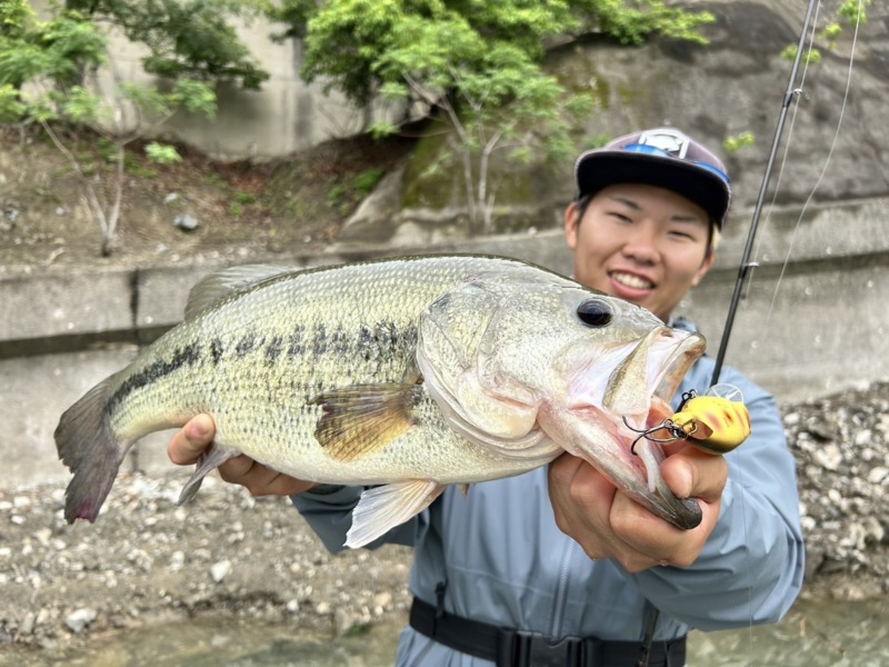 ポストスポーナーを求めて