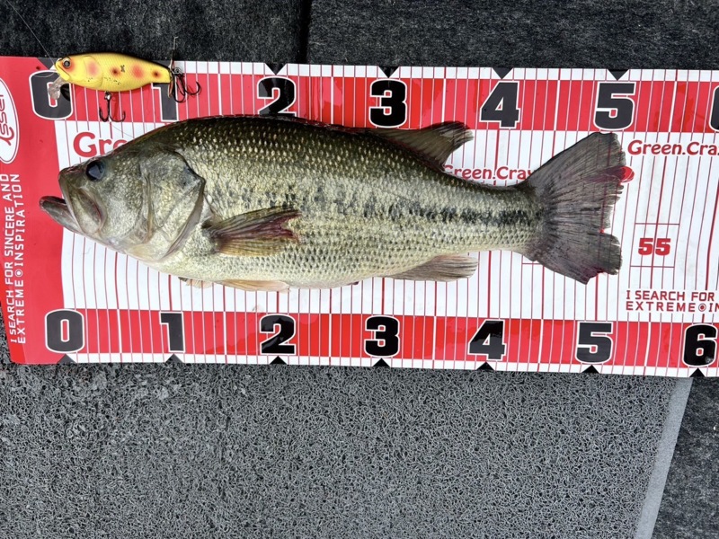 ポストスポーナーを求めて