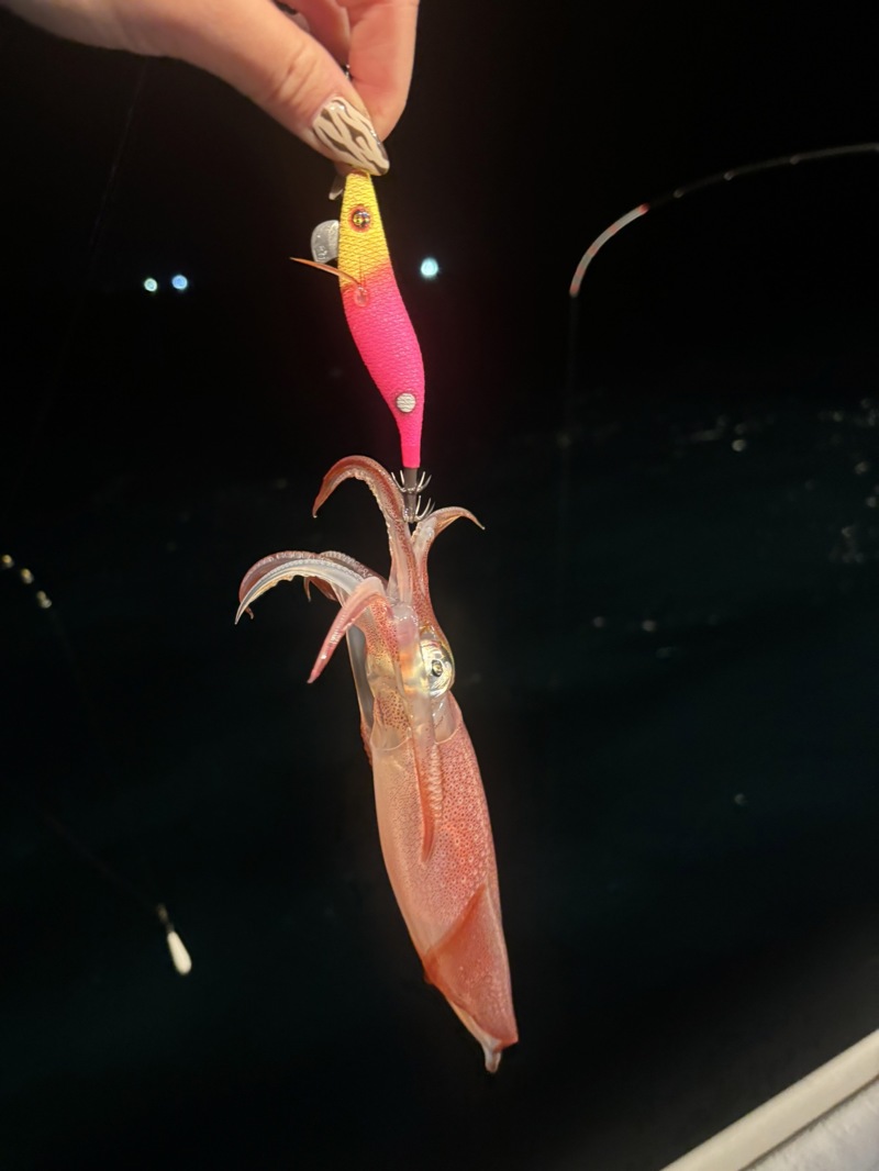 鳥取イカメタル釣行