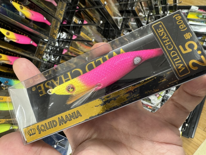 鳥取イカメタル釣行